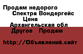 Продам недорого Monster High Спектра Вондергейс › Цена ­ 2 000 - Архангельская обл. Другое » Продам   